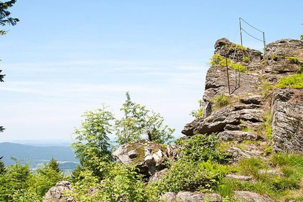 Bayerwald Chalet Kaitersberg Mit Sauna, Sonnenterrasse Und Garten Arnbruck Zewnętrze zdjęcie