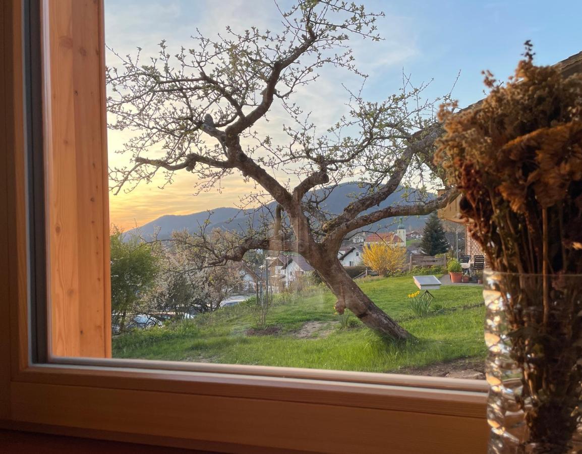 Bayerwald Chalet Kaitersberg Mit Sauna, Sonnenterrasse Und Garten Arnbruck Zewnętrze zdjęcie